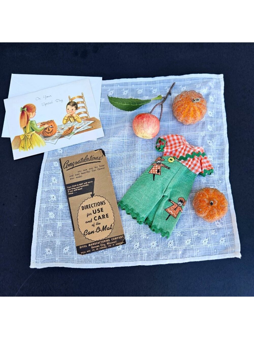 Vintage Fall Pumpkin Harvest Instant Collection Lot Can-O-Mat Pamphlet